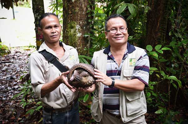 THIS IS PROTECTED: Braken (right) holding a pangolin together with a field staff. 