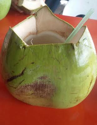 Water from young coconuts is said to be one of the healthiest drinks around.