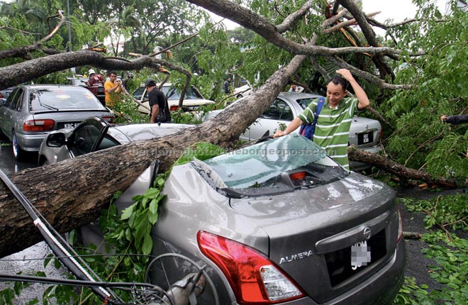Hasnul Armi looks at his damaged car after a large tree fell on it. — Bernama photo