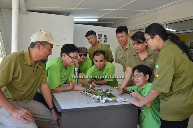 Samantha (standing second right) and other forestry staff and supporters (in light green t-shirts) of the Hornbill Walk at the reserve admire two kingfishers that fell out from a tree recently.   