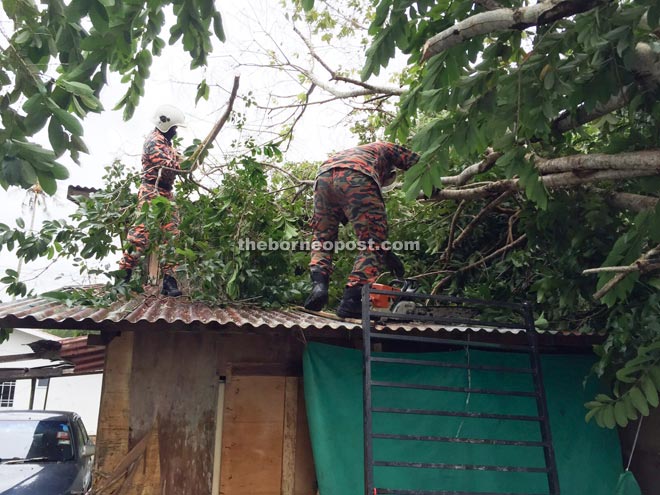  Fire and rescue personnel removing the fallen tree branches on the roof of a house.   