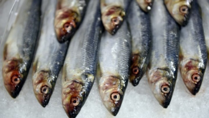 © AFP | Omega-3 fatty acids are available in a non-prescription supplement and are also found in many foods, including salmon, sardines (pictured) and walnuts