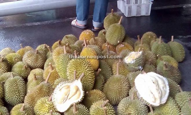 The durian season is back in Miri.