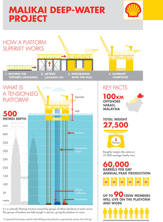 Shell Malaysia Organization Chart