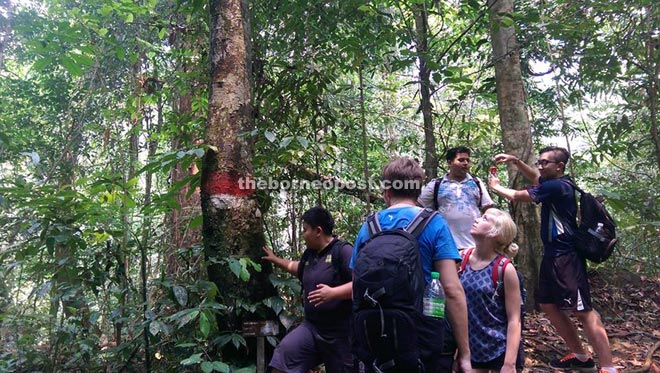 Members of Swinburne Sarawak Green Club study Gunung Gading’s flora and fauna.