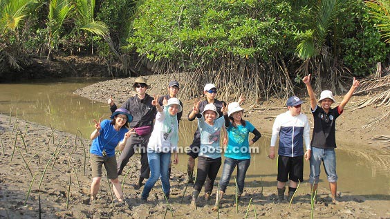 Japanese and local undergraduates showing their great enthusiasm of having to wade in the mud to plant mangrove trees.