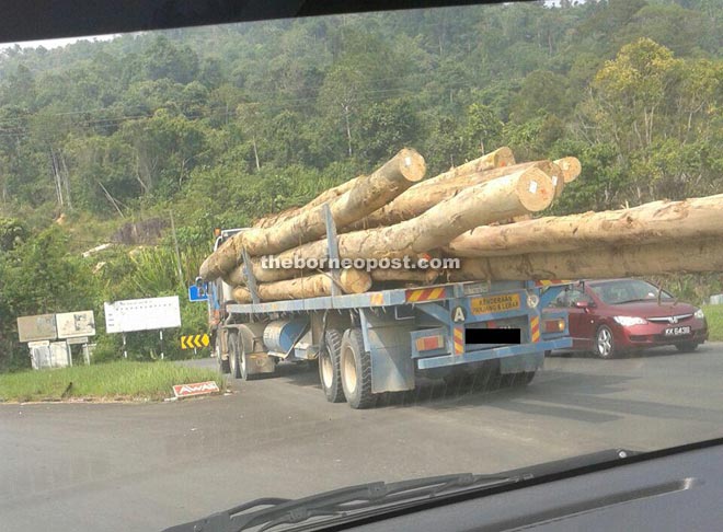A lorry on Kubong Road transporting logs that clearly exceed the length allowed under the law. 