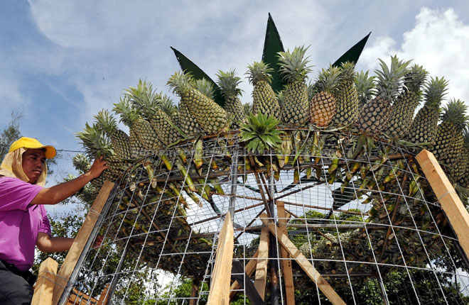A worker displays pineapples at the main archway for the National Farmers, Breeders and Fishermen’s Day celebration in Kota Samarahan. — Bernama photo 