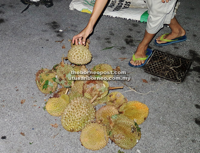 DITEMUI: Buah durian yang dipercayai cuba dicuri oleh ketiga-tiga suspek yang ditahan.