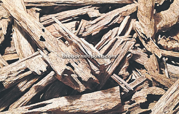 Agarwood, also known as oud, oodh or agar, is a dark resinous heartwood which is valued in many cultures for its distinctive fragrance, and thus is used for incense and perfumes. 