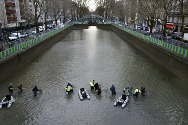 Workers remove fish from the canal Saint Martin in Paris on January 7, 2016 before a drainage and cleaning operation - AFP Photo by Pierre Sautreuil