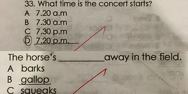 An exam question constructed with grammatical errors posted on Facebook. 