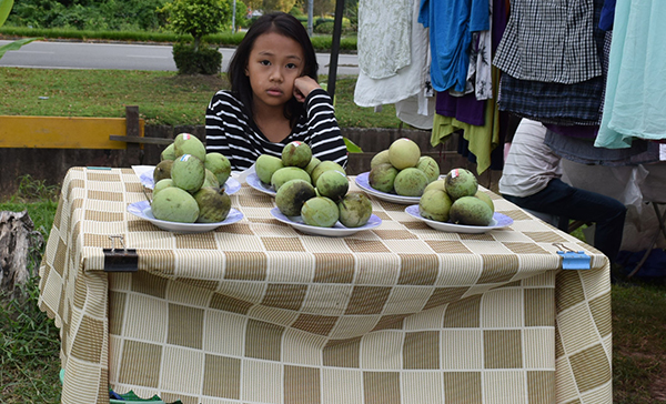 A little girl looks after her family’s mango stall.