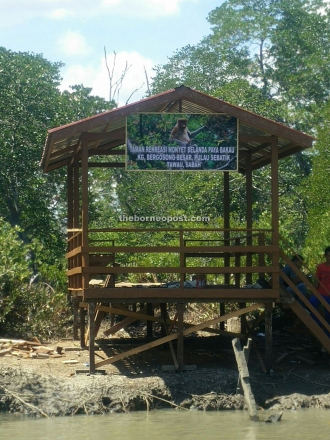 A resting hut at the proboscis monkey recreation park at Kampung Bergosong.  
