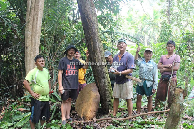 A Keludan (similar to kelirieng but without the elaborate carving as on kelirieng) at Tu’un Banei, Upper Ba River valley.