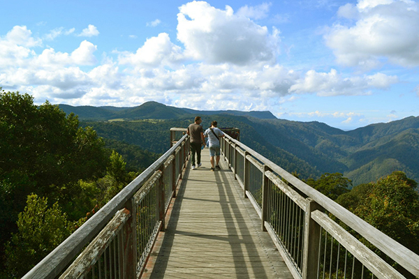 The Dorrigo Rainforest Centre Skywalk juts out for some 50 metres. 