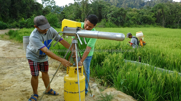 Ceria Group employee, Sos Phol (right) teaches a Penan youth how to use the bird scare in a field at Lusong Laku. — Bernama photo