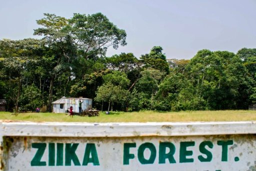 © AFP | A picture taken on January 29, 2016 shows a sign post leading to the Ziika forest in Uganda near Entebbe, where the virus was first discovered