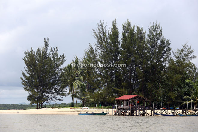 Kampung Sibu Laut has a beautiful sandy shoreline, lined with coconut and Casuarina trees. 