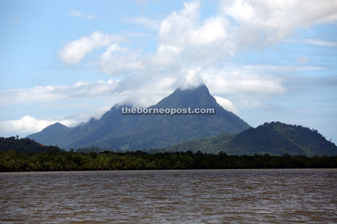 The majestic Mount Santubong looms over the wetlands national park. 