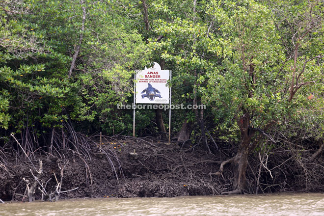 A sign that serves to warn people about the presence of crocodiles in the area.