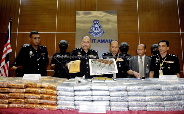 Mohd Mokhtar (second left) and his men show part of  the 1.2 tonnes of ganja worth RM4.2 million during the press conference at Bukit Aman. — Bernama photo