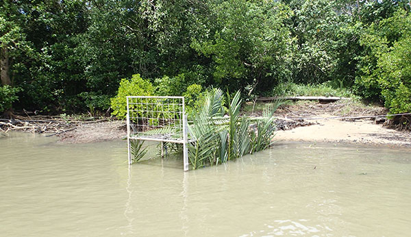 A camouflaged cage placed near the riverbank to trap crocodiles.