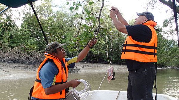 Setting up baited hook & line.