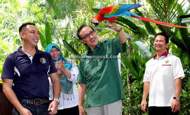 A trained parrot landing on Masidi’s hand during an opening gimmick in conjunction with the World Wildlife Day celebration held at the Lok Kawi Wildlife Park yesterday.