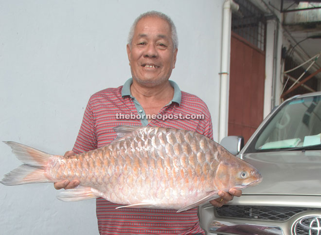 Ong proudly poses with the empurau priced at RM7,900. 