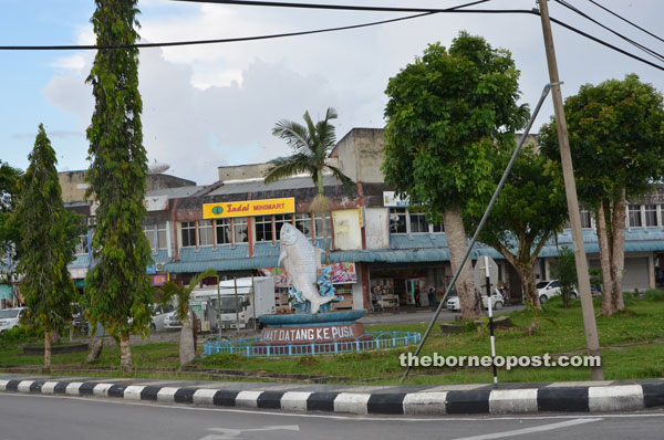 Pusa is known for ikan terubok and gula apong.