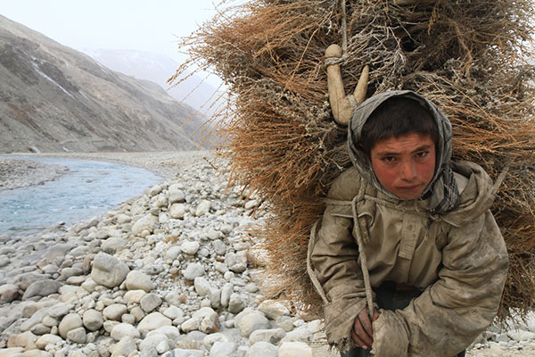 Young boy bring home weeds for cooking and keeping warm. In the valley where vegetation is hard to come by, only weeds (instead of tree brunches) are available – Wakhan Valley, Afghanistan.