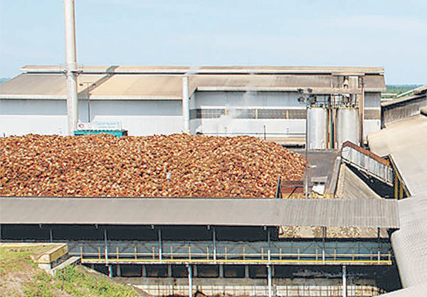 Photo shows Ta Ann s facilities. Ta Ann has said it had already anticipated log prices to moderate in the beginning of the year but expected it to trend higher in the following months. Jaya Tiasa’s log prices are lower as a portion of its logs is sold in the domestic market. 