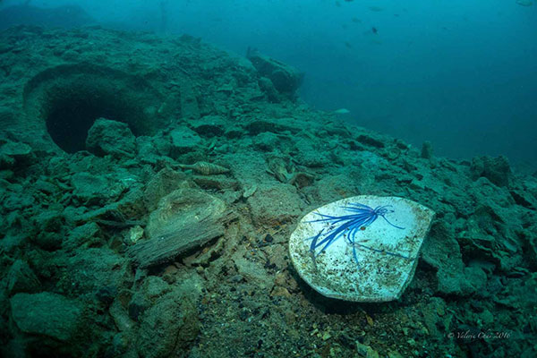 A broken ceramic plate and other contents once hidden in the belly of the Katori Maru lies on the seabed together with other debris from the shipwreck, which has been almost completely de-stroyed by rogue metal salvagers. — Photos by Valerie Chai