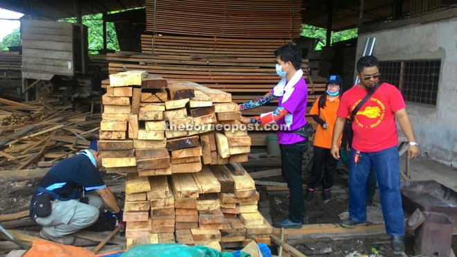 FDS officers seizing the illegal timber.