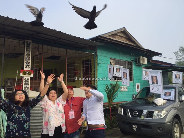 Bawang Assan independent candidate Watson Bangau Jonathan Renang (second right) and his family members releasing pigeons. From left are Watson's wife Roselind Kandau, Roxanne Puteri and John Neal. The former PBB Bawang Assan division chairman is using the bird logo as his election symbol contesting against BN direct candidate and incumbent Dato Sri Wong Soon Koh and DAP today.