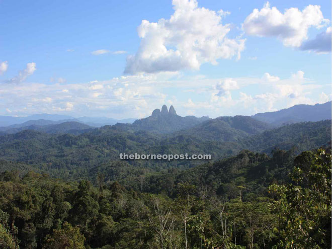 The Batu Siman, landmark in Upper Baram area that Penans seek from the state government to turn into a National Park to sustain their livelihood.