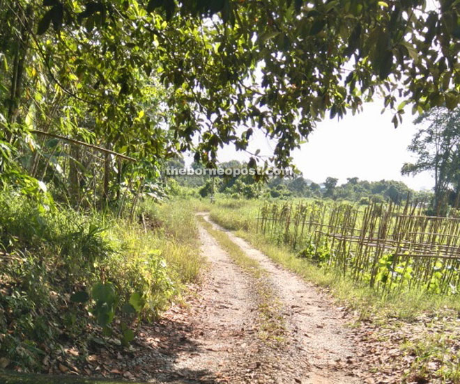 The condition of the road that leads to Lorong 15 in Jalan Semaba. 