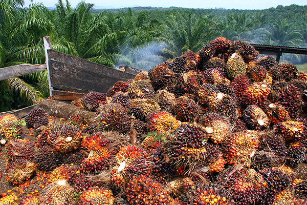 the low inventories situation could be attributed to weaker exports and seasonally lower production as historically, palm oil production was seasonally lower during Ramadhan month.