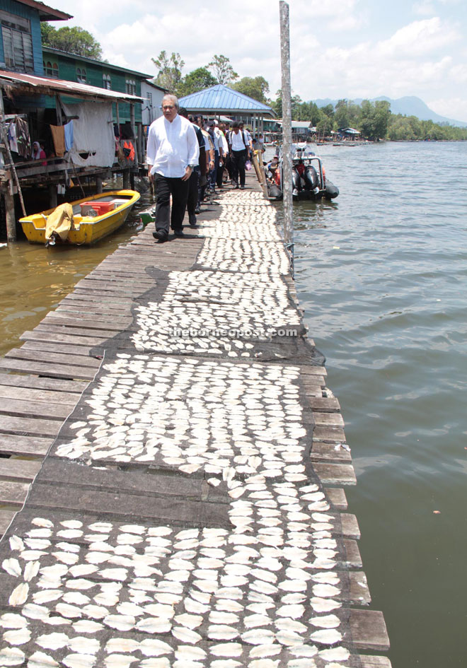 Rows of fish laid out to dry on the wooden jetty in Kampung Punang