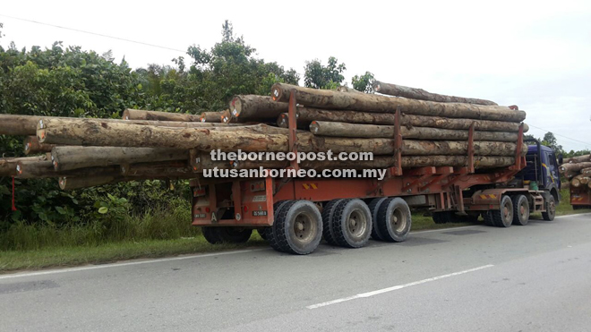 Lorries carrying logs stopped for inspection along Bintulu-Sibu road during the three-day operation. — Photo by courtesy of Sarawak JPJ