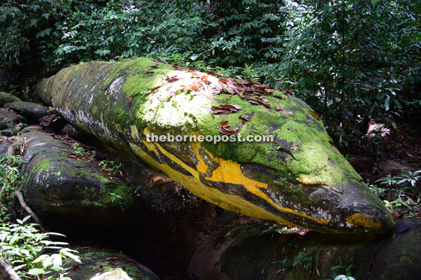 Some of the locals believe that Batu Nabau is a real snake deity.
