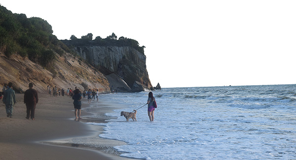 Over one-third of a cliff headland, shaped like a Horse Head Drinking Water, is submerged by high tide.