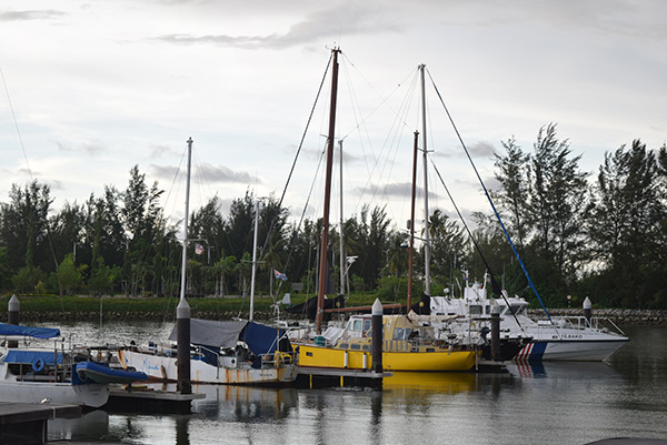Some of the sail boats moored at the jetty.