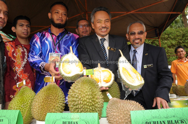 PERASMIAN: Ahmad (dua kanan) menunjukkan isi durian ‘Musang King’ pada majlis perasmian Seminar Pengeksportan Durian ‘Pengukuhan dan Pematuhan Eksport Durian Malaysia’ semalam. — Gambar Bernama