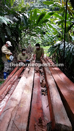 SFC enforcement officers recording measurements of the seized timber.