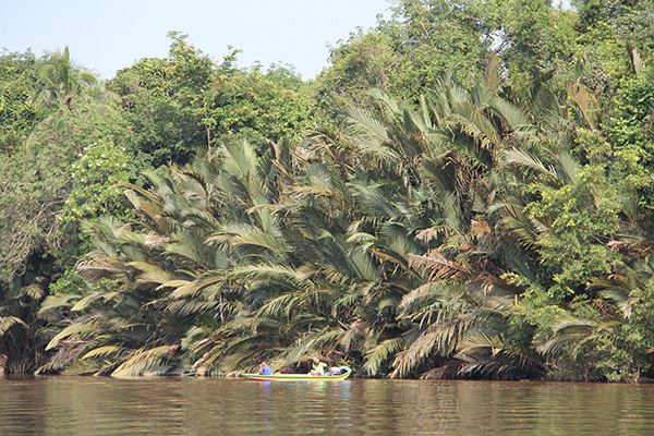 Along River Binyo, illegal fishing is still rampant.