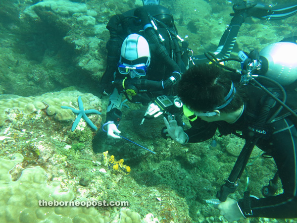 Eco-divers doing their training.