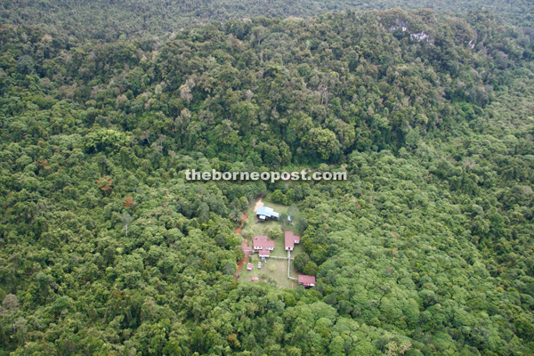 Aerial view of Bukit Sarang:  The building is the research station. The mountain in the background holds caves where ancient human skeletons have been found. Signs of early civilisation are also visible in a cave with drawings of human figures.