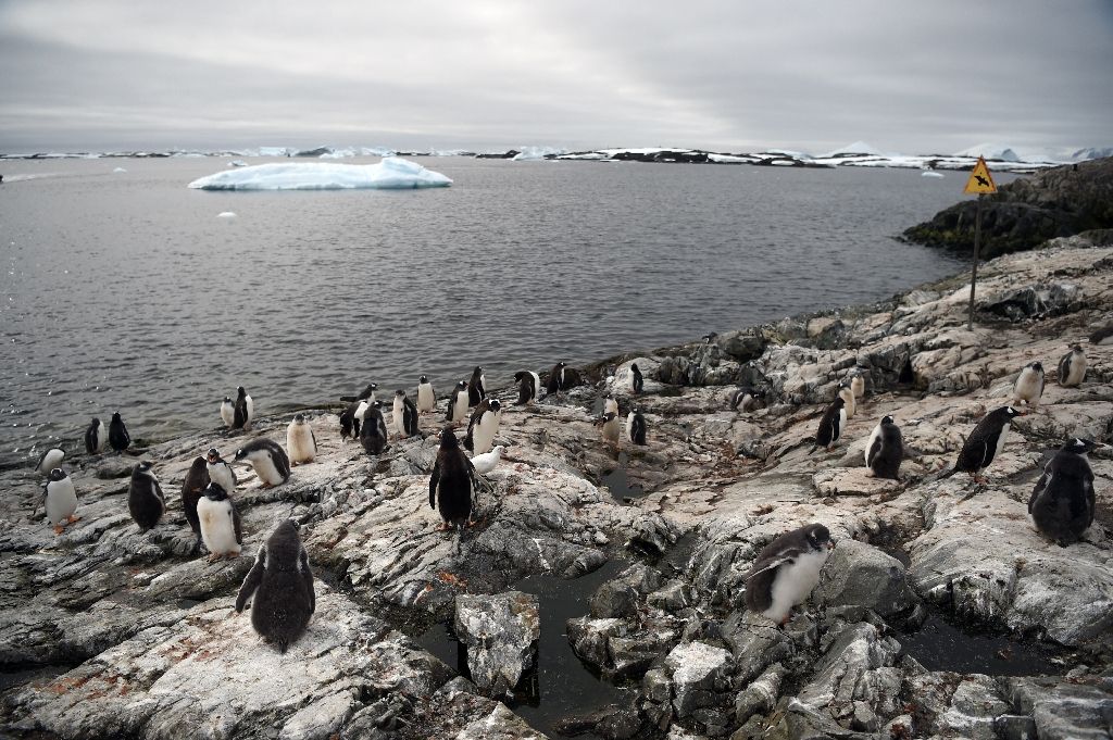 A new marine reserve aimed at protecting the pristine wilderness of Antarctica will cover more than 1.55 million square kilometres the size of Britain, Germany and France combined. AFP Photo